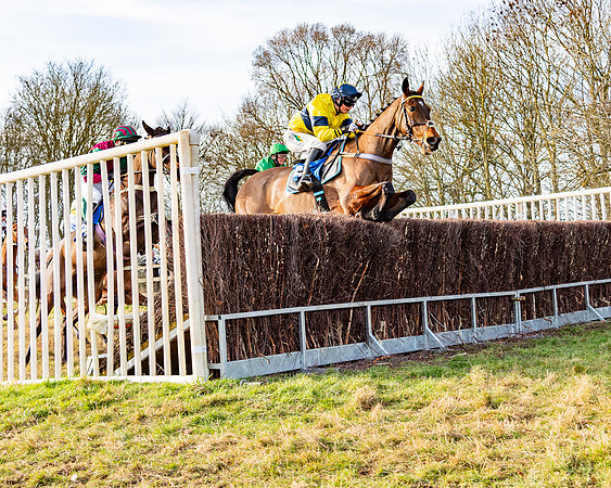 Race 4 - Maiden (49 of 118)