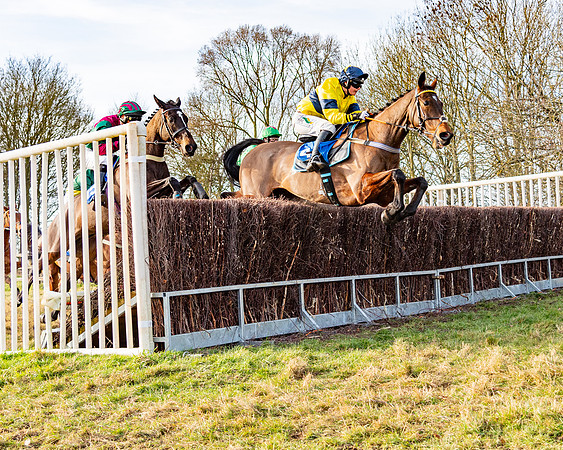Race 4 - Maiden (50 of 118)