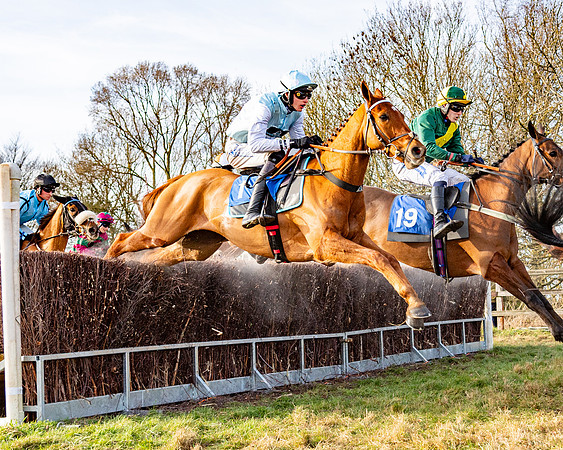 Race 4 - Maiden (56 of 118)