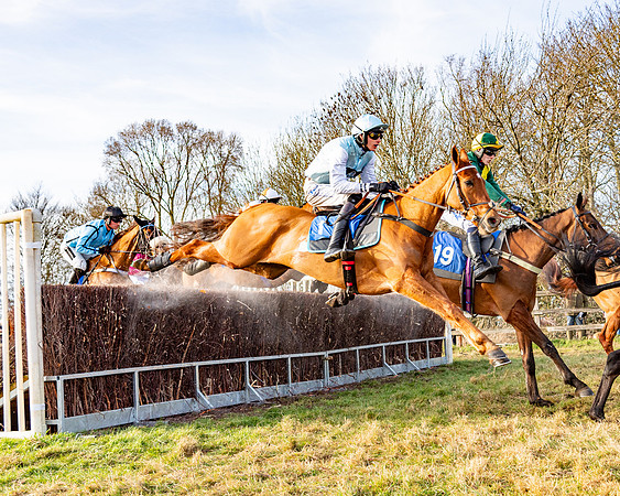 Race 4 - Maiden (57 of 118)