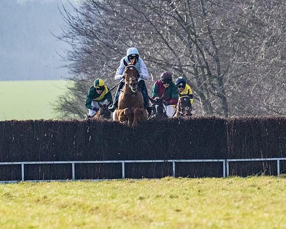Race 4 - Maiden (62 of 118)