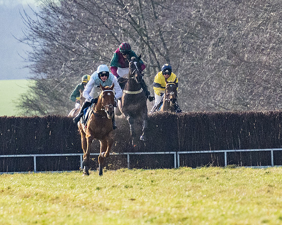 Race 4 - Maiden (66 of 118)