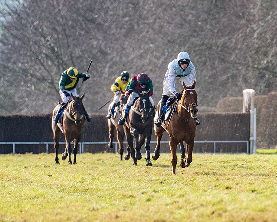 Race 4 - Maiden (68 of 118)