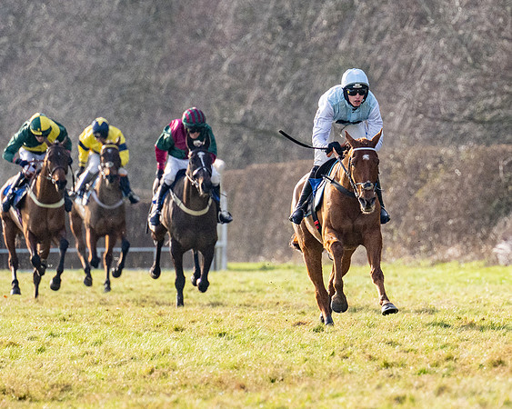 Race 4 - Maiden (70 of 118)