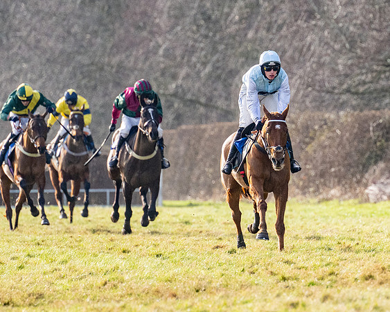 Race 4 - Maiden (71 of 118)