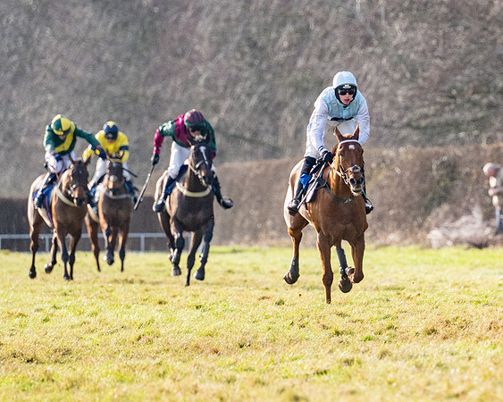 Race 4 - Maiden (72 of 118)