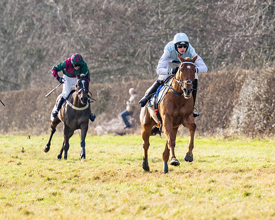 Race 4 - Maiden (74 of 118)