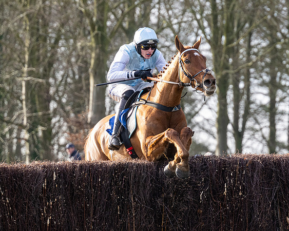 Race 4 - Maiden (76 of 118)