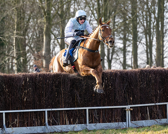 Race 4 - Maiden (77 of 118)
