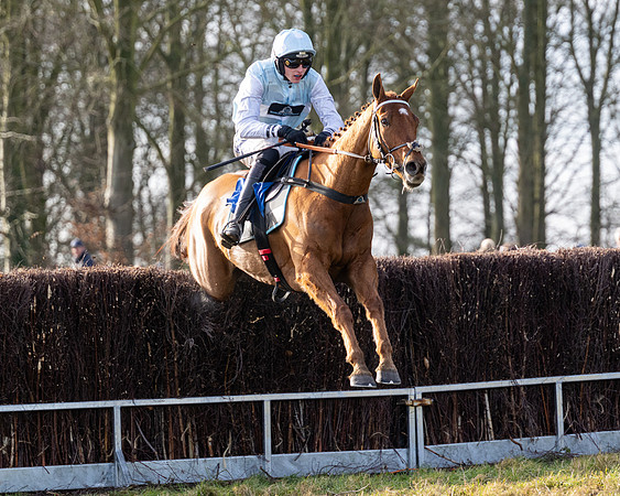 Race 4 - Maiden (78 of 118)