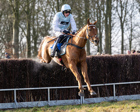Race 4 - Maiden (79 of 118)
