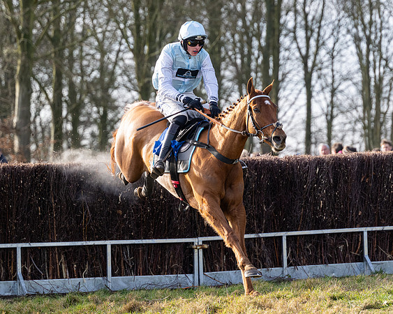 Race 4 - Maiden (80 of 118)