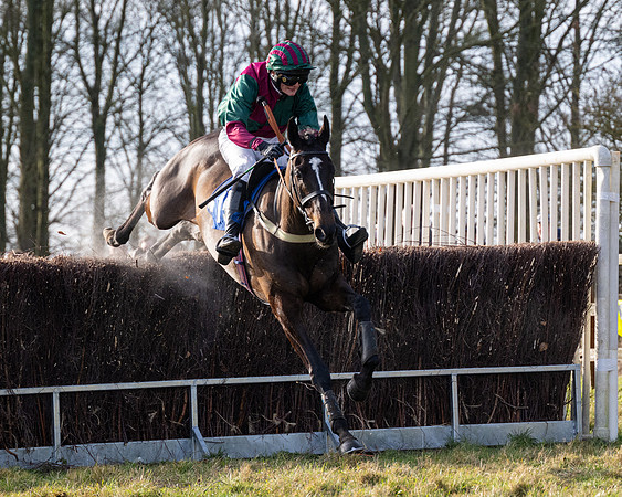 Race 4 - Maiden (85 of 118)