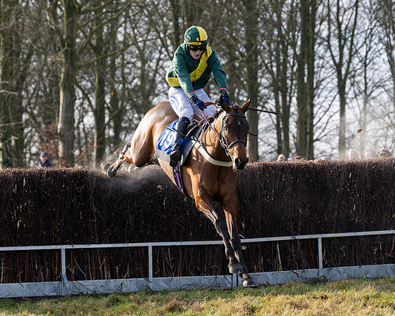 Race 4 - Maiden (86 of 118)