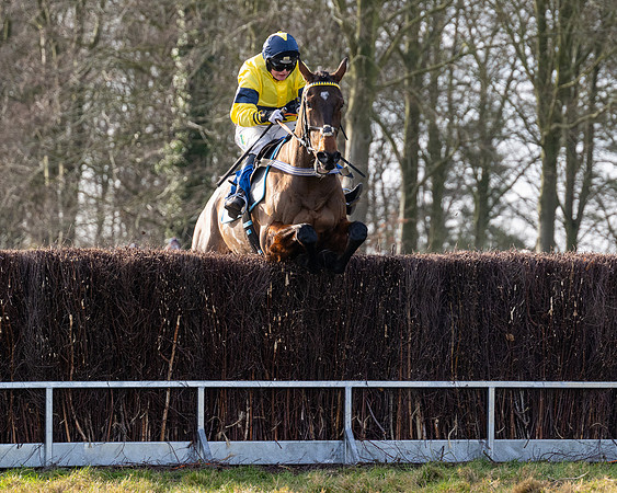 Race 4 - Maiden (87 of 118)