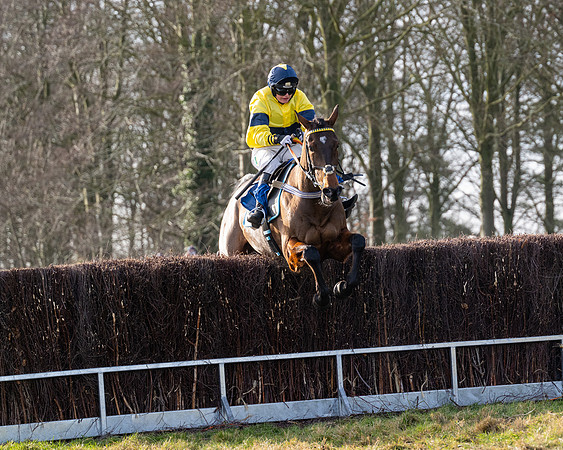 Race 4 - Maiden (88 of 118)