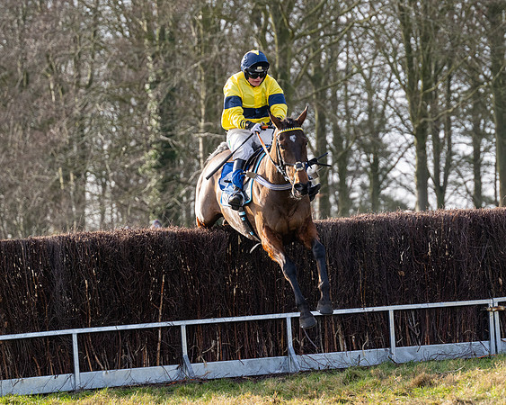 Race 4 - Maiden (89 of 118)