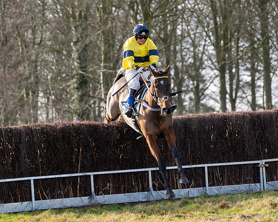 Race 4 - Maiden (90 of 118)