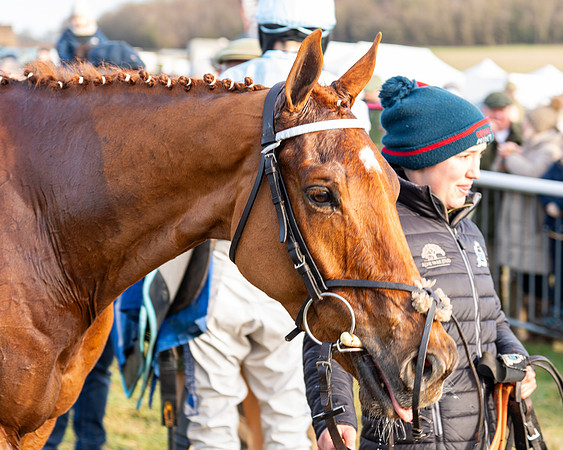 Race 4 - Maiden (112 of 118)