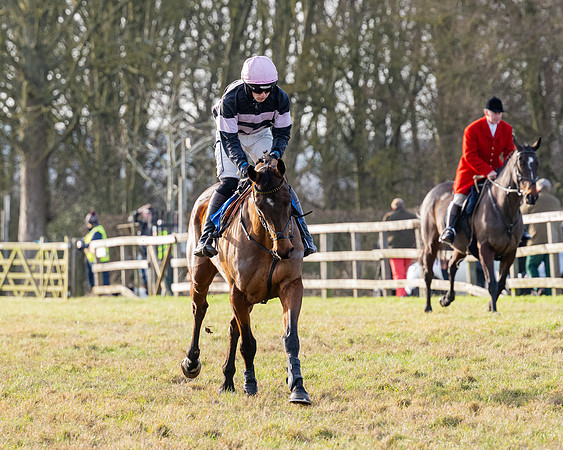 Race 5 - Maiden Conditions (3 of 102)