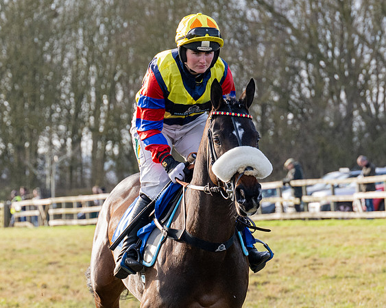 Race 5 - Maiden Conditions (16 of 102)
