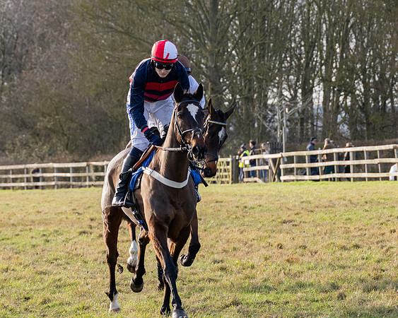 Race 5 - Maiden Conditions (18 of 102)
