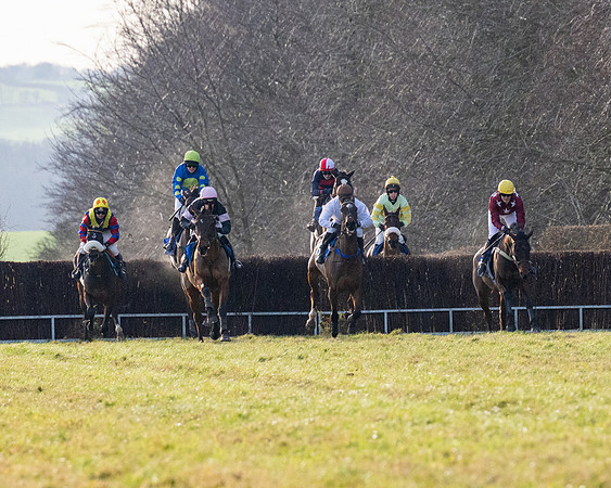 Race 5 - Maiden Conditions (43 of 102)