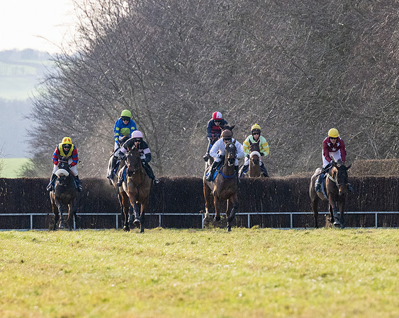 Race 5 - Maiden Conditions (44 of 102)