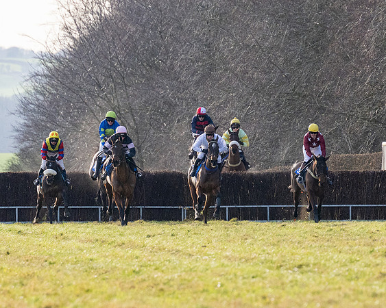 Race 5 - Maiden Conditions (45 of 102)