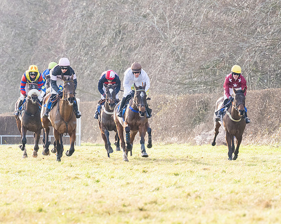 Race 5 - Maiden Conditions (51 of 102)