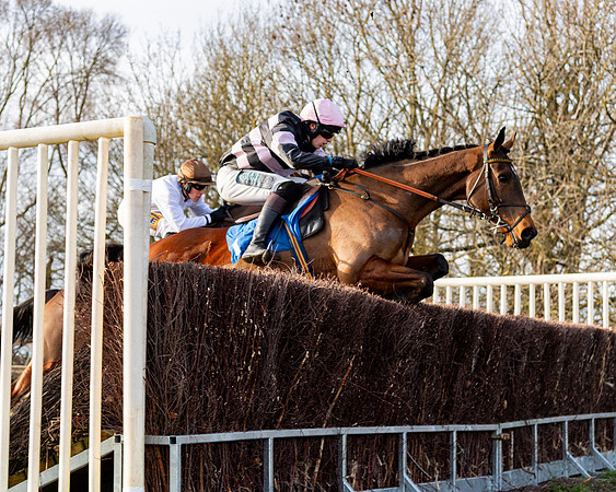 Race 5 - Maiden Conditions (53 of 102)