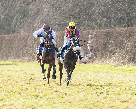 Race 5 - Maiden Conditions (70 of 102)