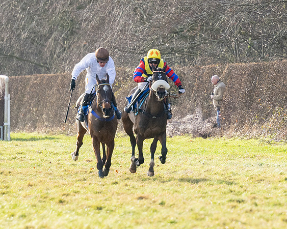 Race 5 - Maiden Conditions (69 of 102)
