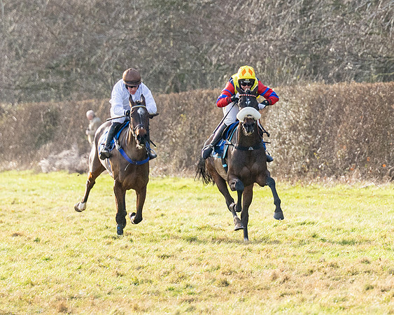 Race 5 - Maiden Conditions (71 of 102)