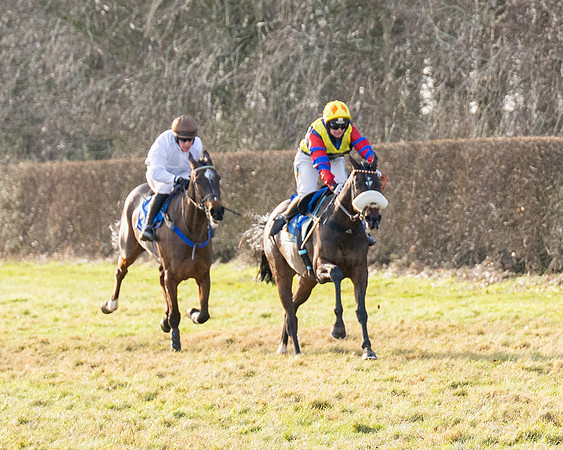 Race 5 - Maiden Conditions (73 of 102)