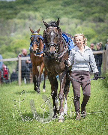 Race 1 - The owner-trainer Conditions race (2 of 118)