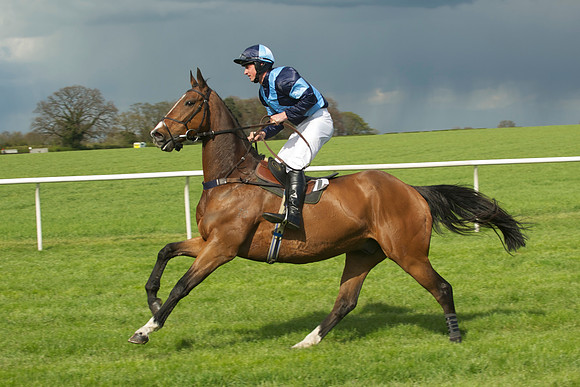 Novice Riders 13