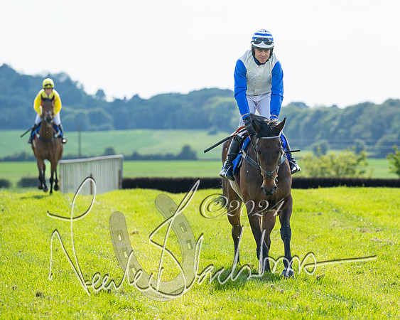 Race 5  - Maiden race 2m5F Div-1 (55 of 197)