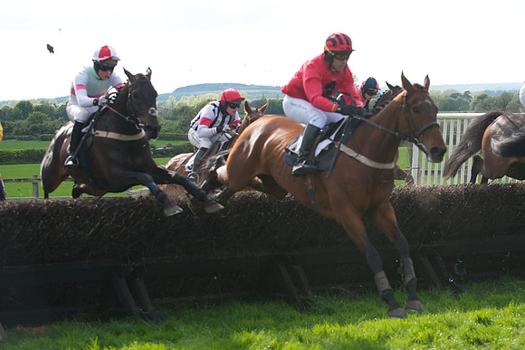 Race 6 -  31