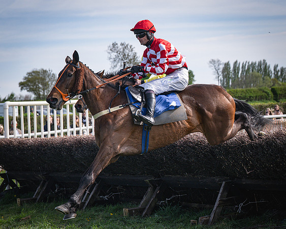 Race 5 - The 5G Restricted Race (27 of 56)