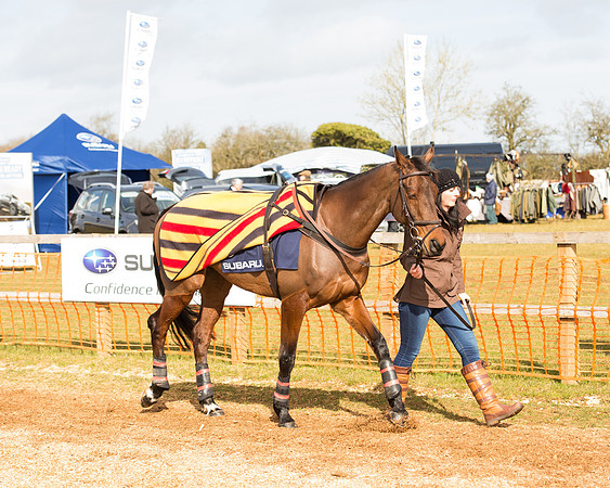 Race 2 - Subaru Restricted (7 of 150).jpg