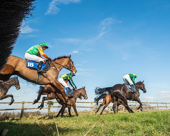 Race 1 - Open Maiden Division 1 (93 of 170)