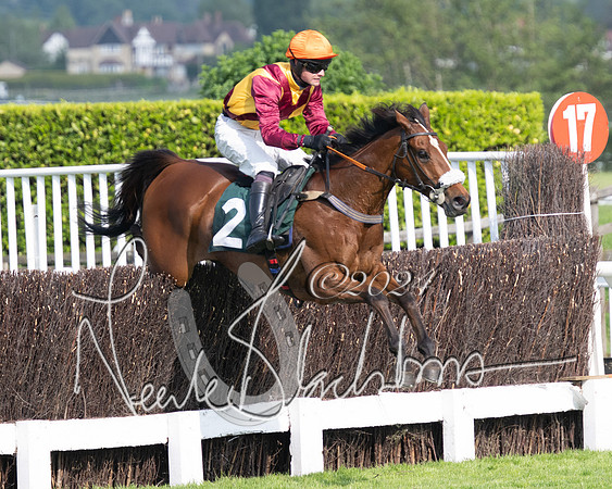 Race 1 - The Bottle Green Open Hunters steeplechase 2m62y (54 of 93)