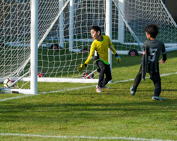 AFC Oaklands v Edmonton Rangers (81 of 225)