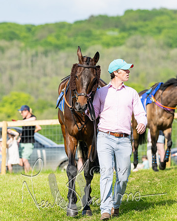 Race 5  - Maiden race 2m5F Div-2 (9 of 205)