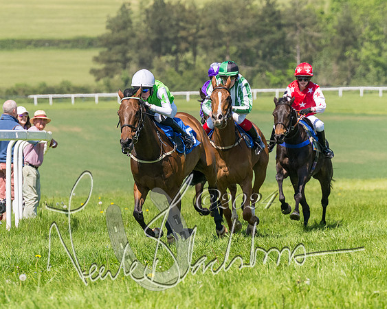 Pony Races  (68 of 141)