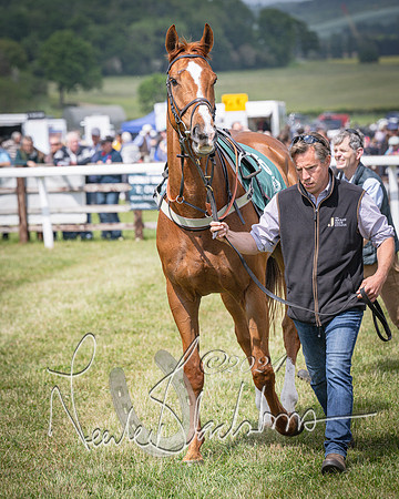 Race 1 - the Grafton adjacent hunts conditions race (level 2) (13 of 120)