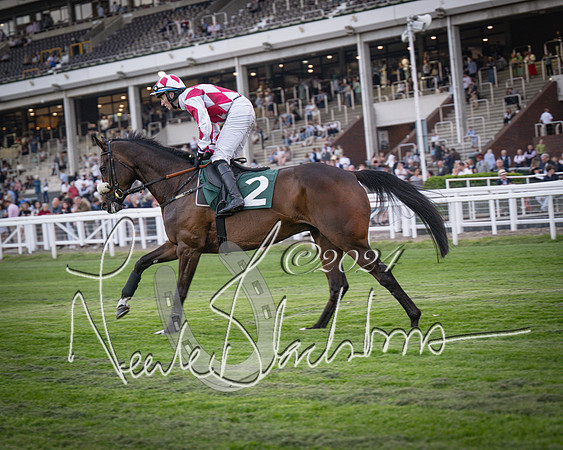 Race - 7 The Royal Gloucester Hussars Open Hunter's steeplechase 2m4f 127y (56 of 210)