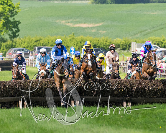 Race 2 - The Maiden  (135 of 442)