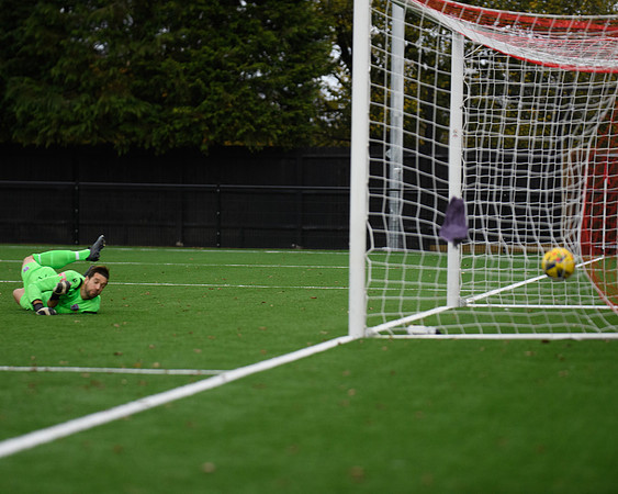 Goal  (25 of 330)